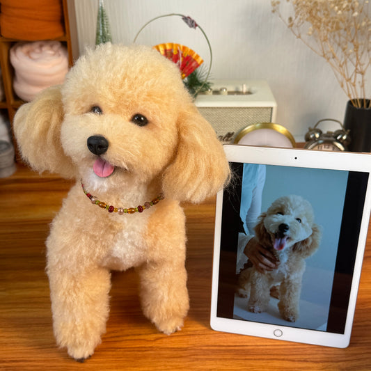 全身フェルト(予約制)