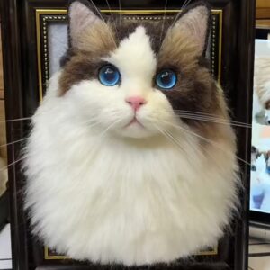 フレームフェルト