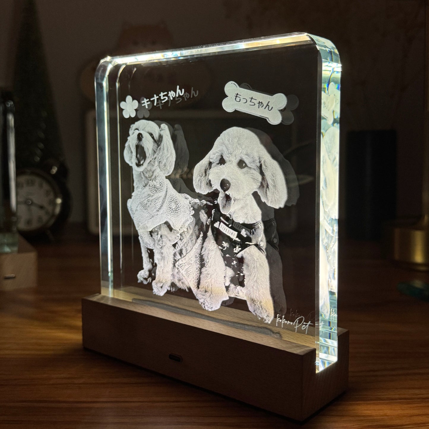 クリスタルポートレート