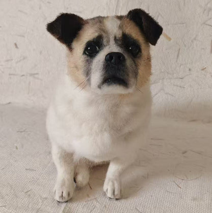 全身フェルト（招待制）