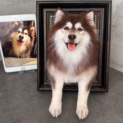 フレームフェルト