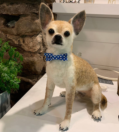 全身フェルト（招待制）