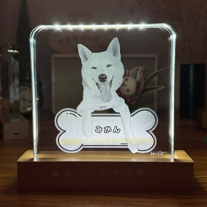 クリスタルポートレート