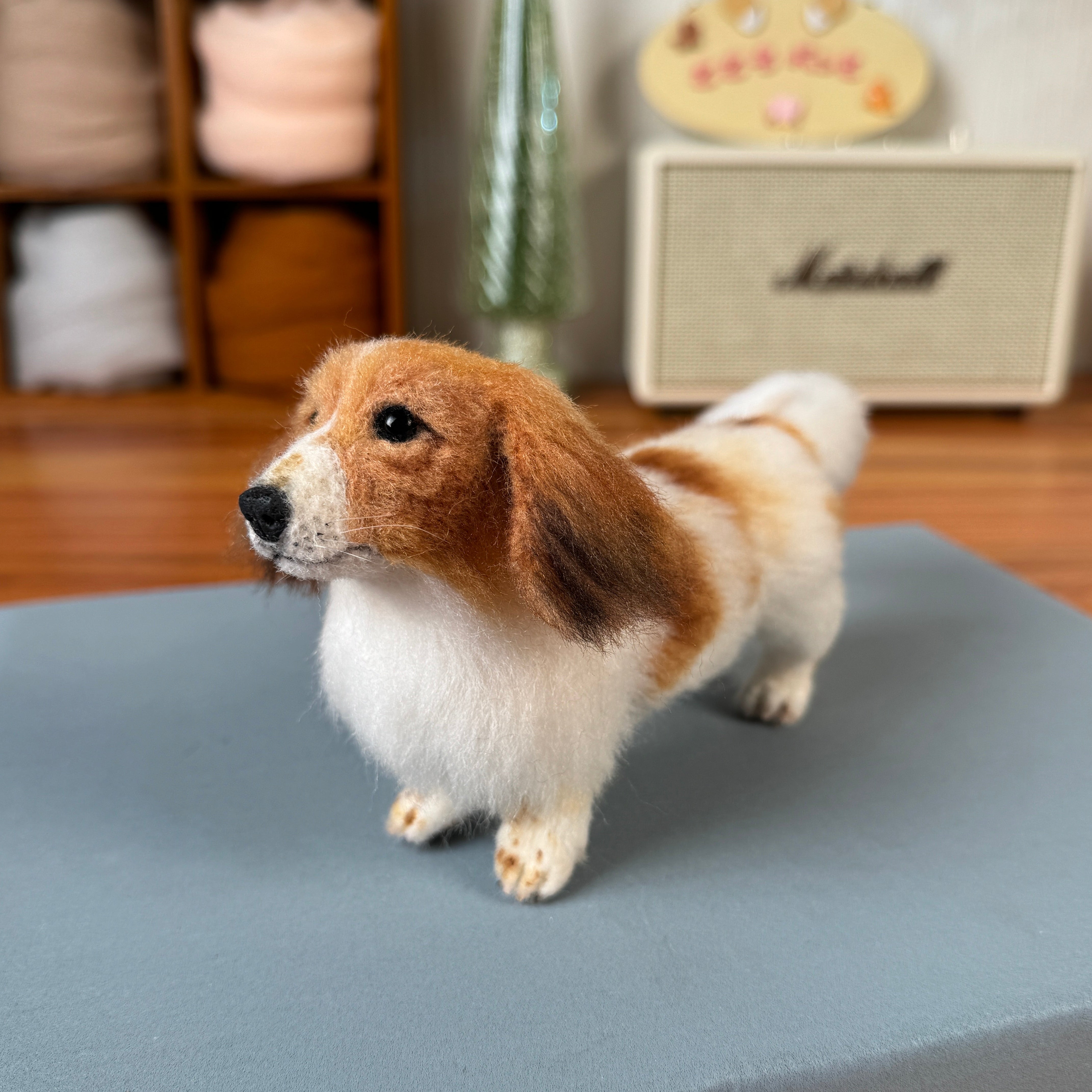 全身フェルト（予約制） – kokoroPet