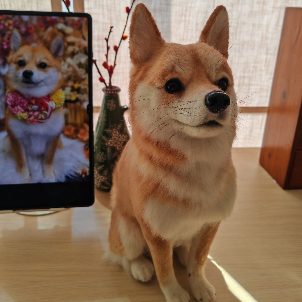 全身フェルト（予約制）
