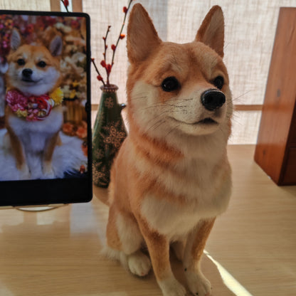 全身フェルト（予約制）